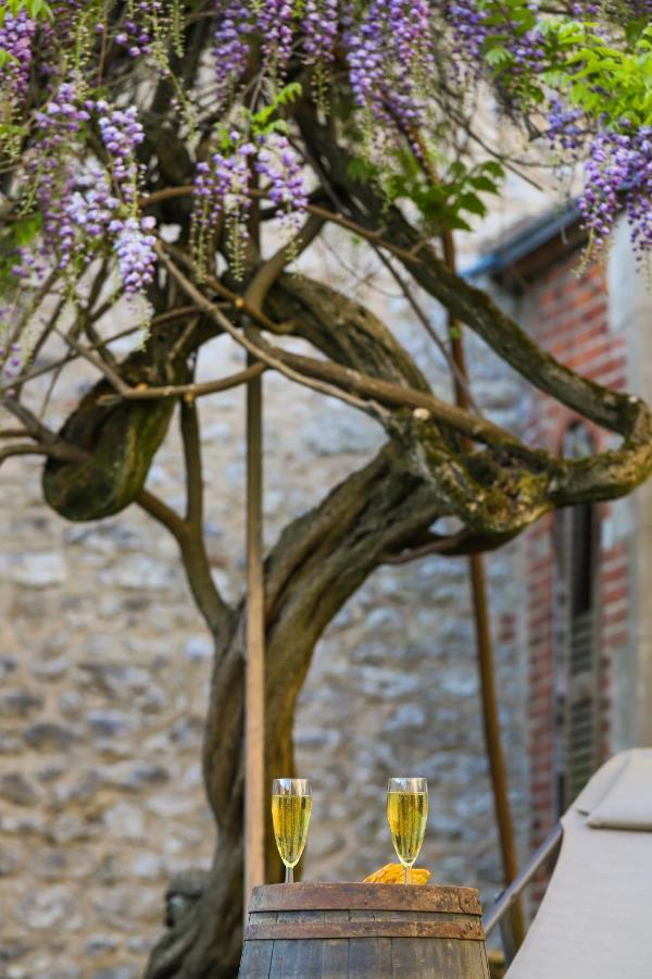 Bed and Breakfast Demeure Des Cordeliers Avec Parking Prive Blois Exterior foto